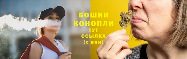 тгк Пестово