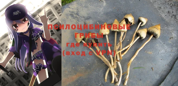 ALPHA PVP Алзамай