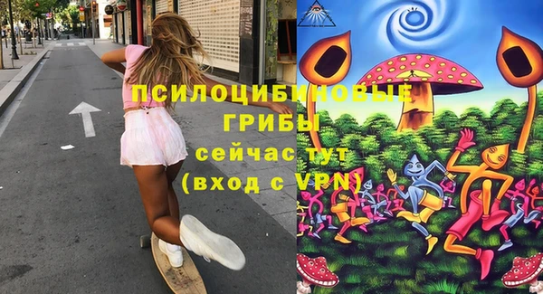 индика Алексеевка